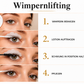 WIMPERN & AUGENBRAUEN LIFTING SET