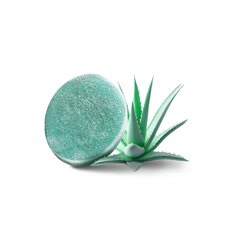 3 IN 1 - THE VIBE SHOWER SPONGE - ALOE VERA