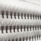 10D SINGLE EYELASHES - 12mm