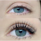 BLACK WINGS - LASH LIFT PATCHES