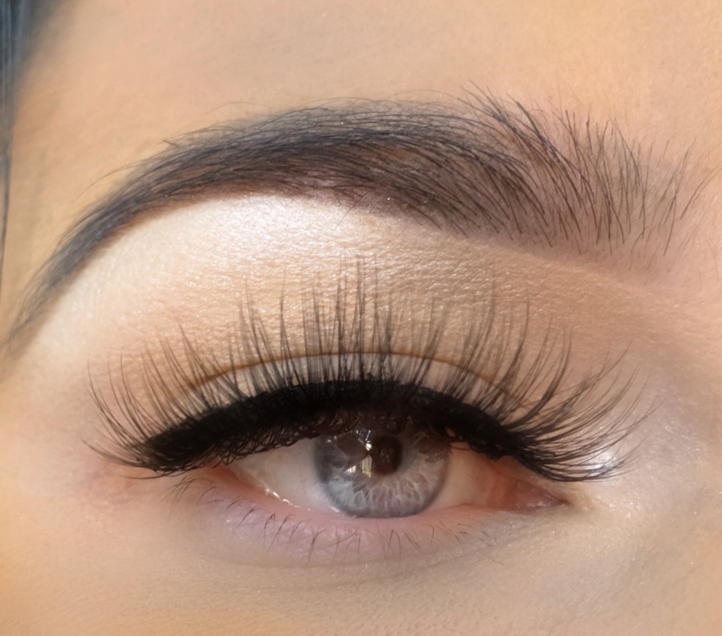 AIMANT 3D WIMPERN - CHATON