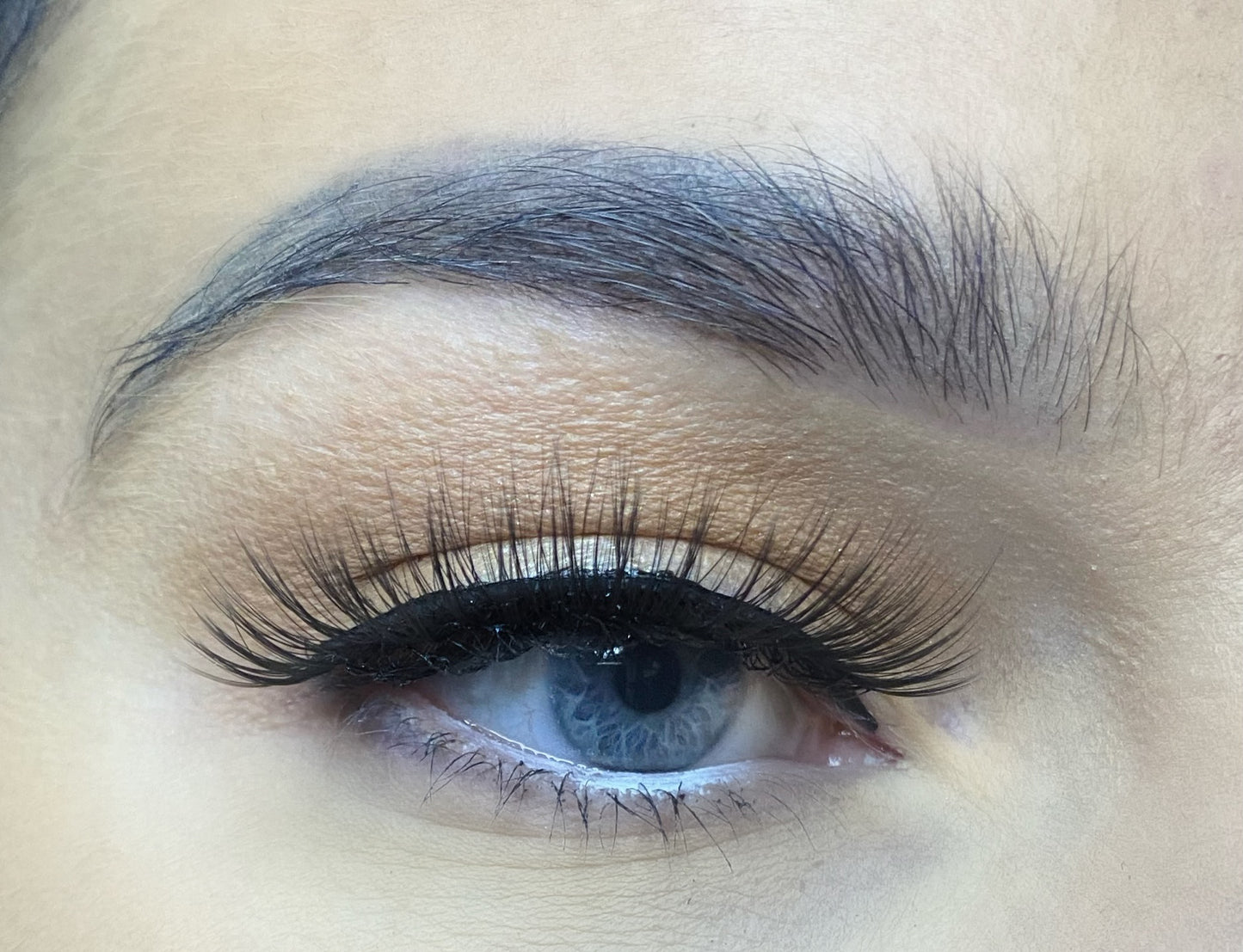 3D MAGNET EYELASHES - PRETTY