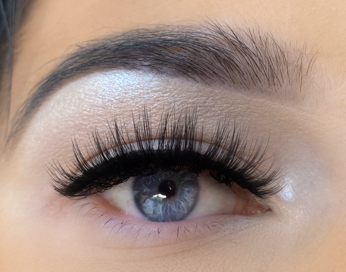 3D MAGNET EYELASHES - OCEAN