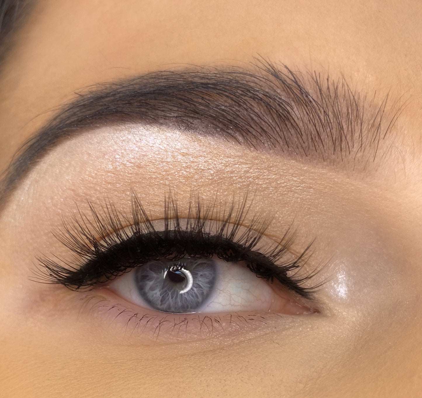 AIMANT 3D WIMPERN - FACILE