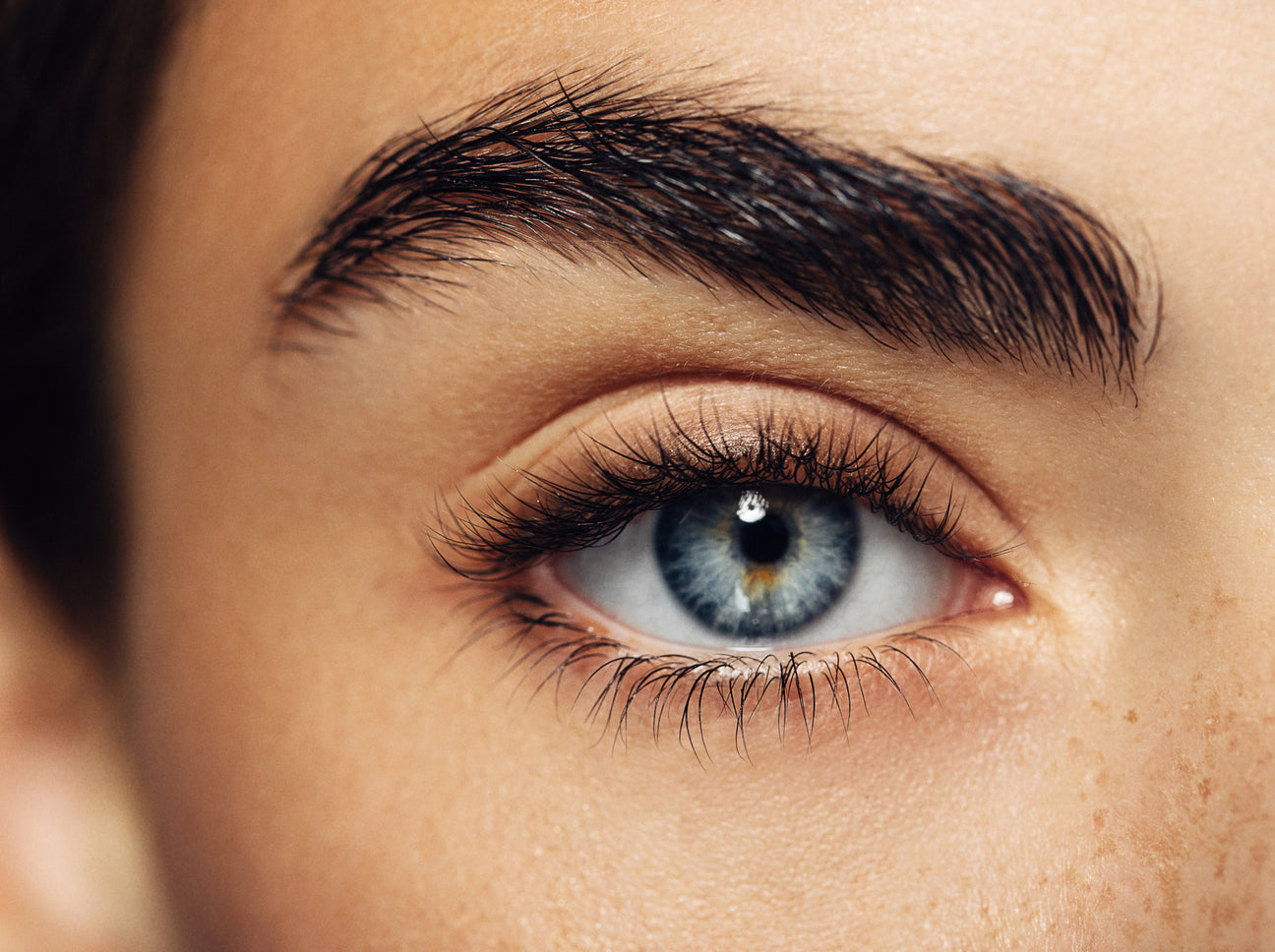 EYELASHES & EYEBROW LIFTING SET